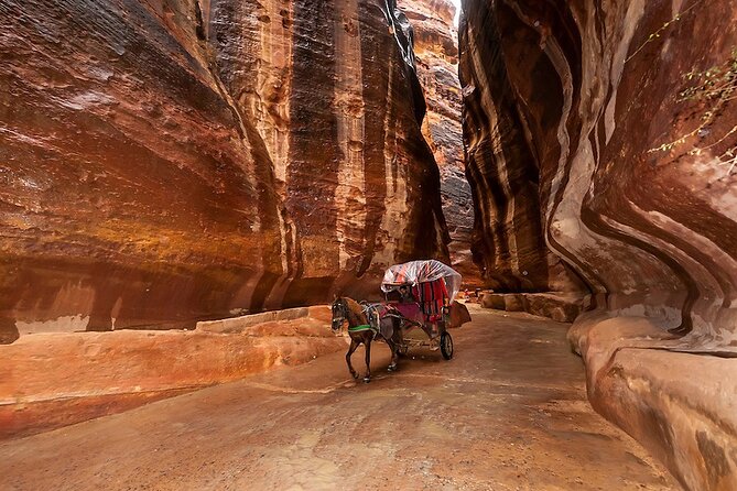 1 Day Tour to Petra From Eilat - Entering Petra Through the Siq at 11:30 a.m.