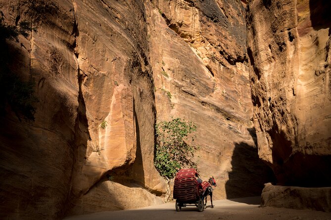 3-Day Petra and Wadi Rum Tour from Jerusalem - Returning through the bridge to Jerusalem