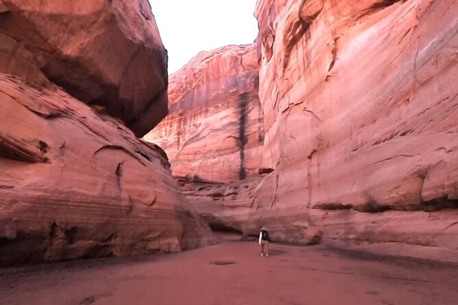 3-Day Petra Private Guided Tour from Jerusalem - What the $616.41 price really covers