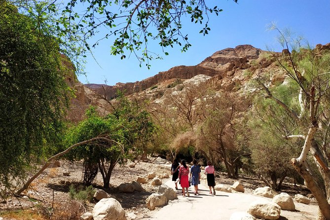 4WD Masada Ein Gedi Judea desert Dead Sea adventure 4x4 Tour. - Ein Gedi oasis: shade and water in the Judea Desert