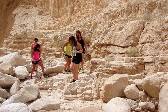 4WD St. George's Monastery Jordan Baptize Dead Sea adventure tour - The 4WD ride and possible wildlife