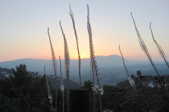 A Day of Spiritual Discovery in the Upper Galilee - The Old City and the Sephardic Synagogue of the Ari
