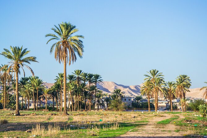 Bethlehem, Jericho & Jordan River Tour from Tel Aviv - What the $119 price includes, and what it does not