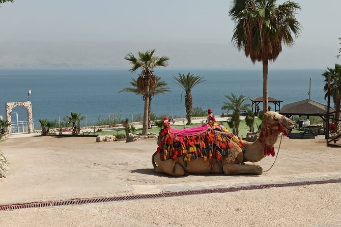 Bethlehem & The Dead Sea Full Day Tour from Jerusalem/TLV - What the $140 price really covers