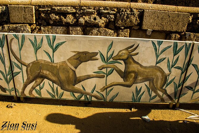 Caesarea Private Tour (half-day) - What the private vehicle adds from Haifa
