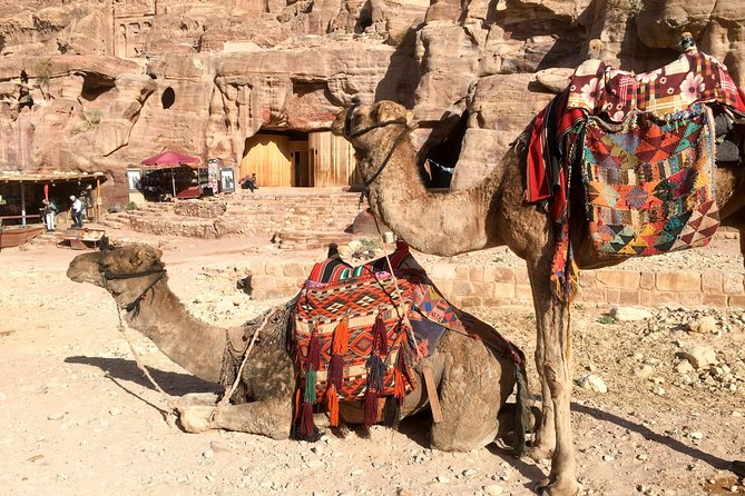 Day Tour to Petra by Bus from Tel Aviv - Five hours through the Negev to Eilat