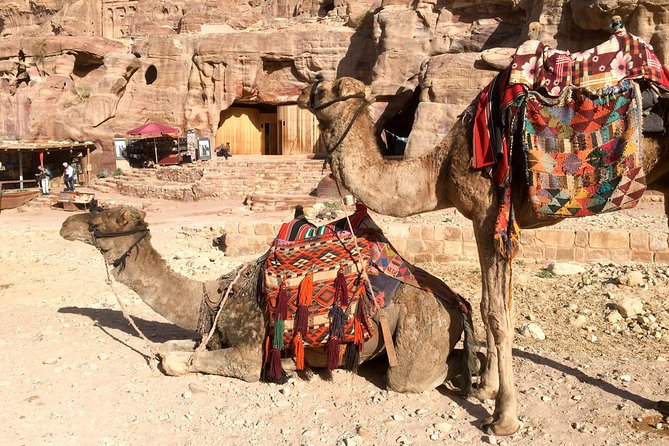 Day Tour to Petra from Eilat - What the guide adds to Petra