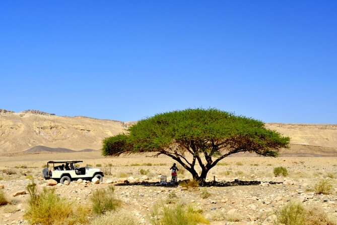 Desert Safari and Dead Sea Day Trip from Tel Aviv - The Inn of the Good Samaritan and Jericho