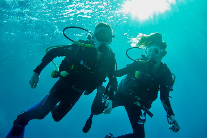 Discover Scuba Diving - Indroductory Dives - Key points to know before booking