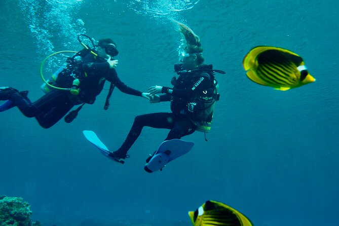 Discover Scuba Diving - Indroductory Dives - Pickup, timing, and the practical details