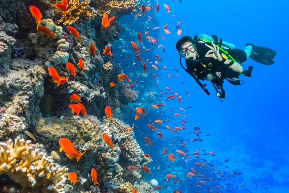 Eilat: Intro to Diving with Certified Instructor - Practical advice for making the most of it