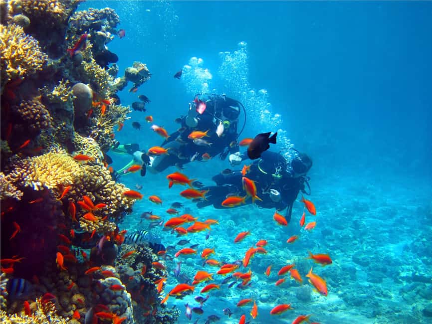 Eilat: Intro to Diving with Certified Instructor - Who should book this experience?