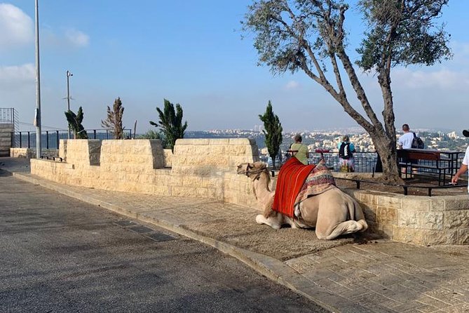 Explore Jerusalem's Old City - The City of David is the tour’s most demanding section