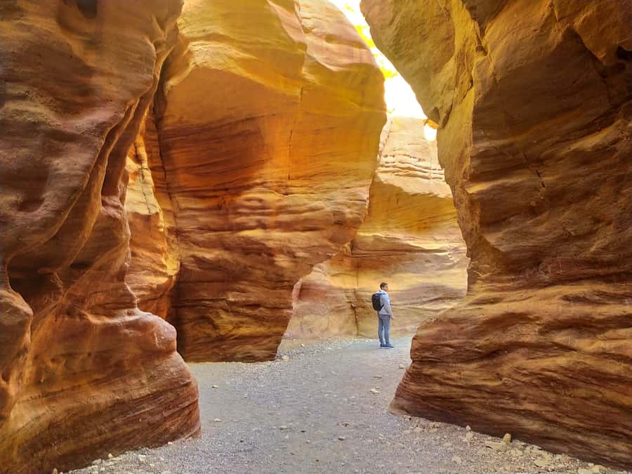 From Eilat: Red Canyon Guided Tour - Key points at a glance