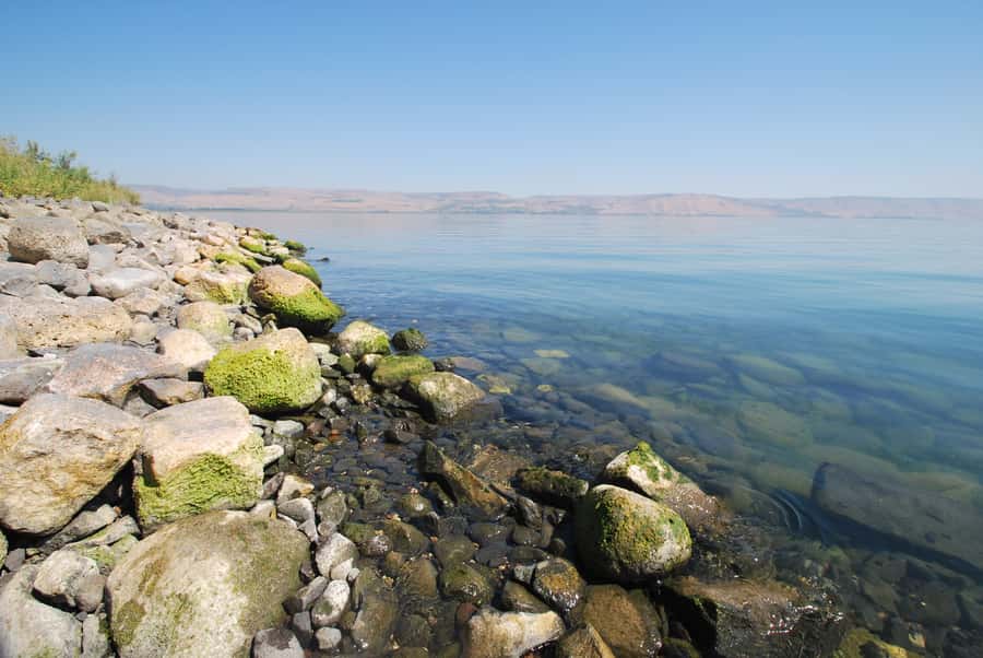 From Haifa: Guided Day Trip to Nazareth and Sea of Galilee - Nazareth and the Church of the Annunciation