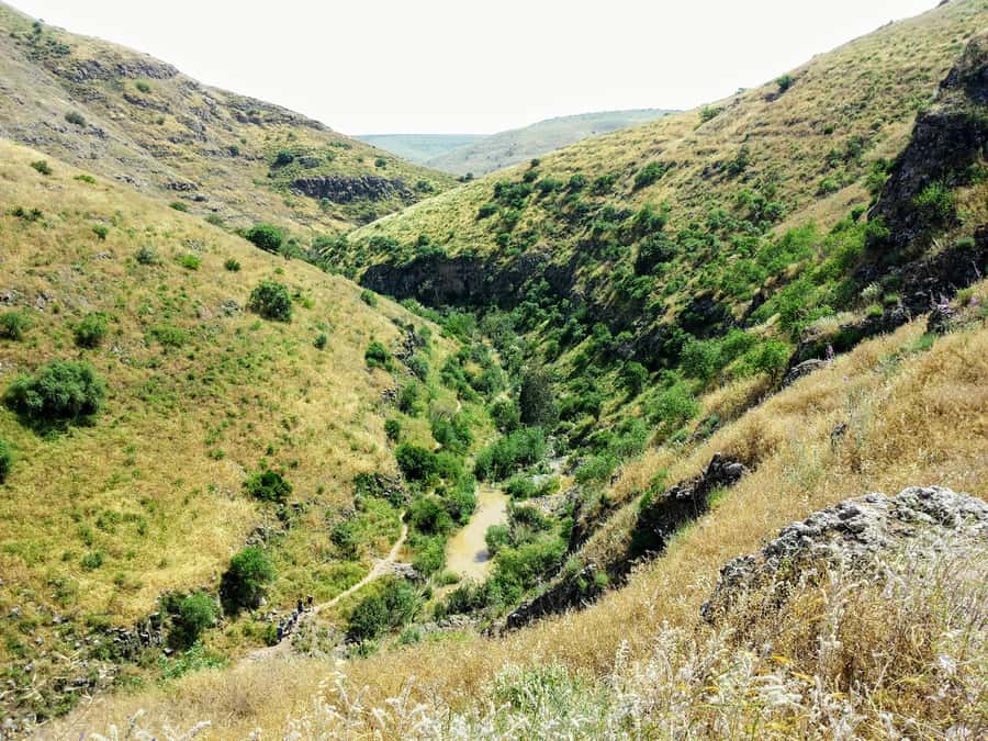 From Jerusalem: Day Trip to Golan Heights and Mount Bental - Katzrin’s restored village and ancient synagogue