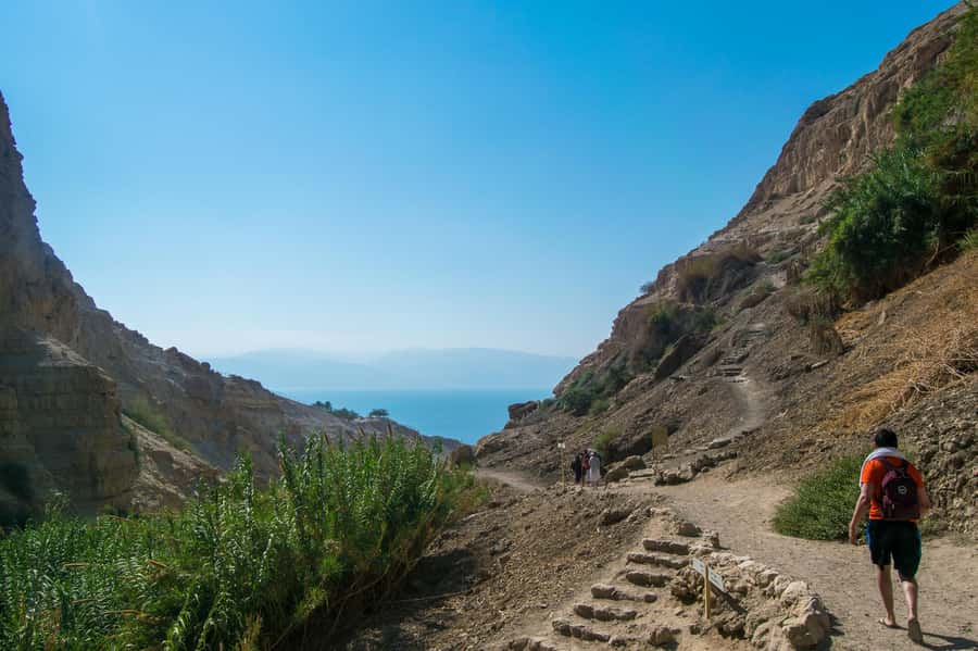 From Jerusalem: Masada at Sunrise, Ein Gedi & Dead Sea Tour - Ein Gedi, waterfalls, and the current closure