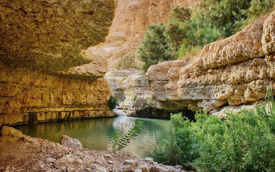 From Jerusalem: Masada Sunrise, Ein Gedi & Dead Sea Day Trip - Floating at the Dead Sea