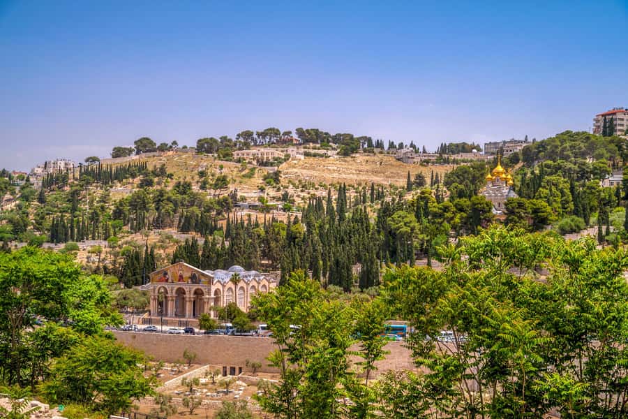 From Jerusalem Small group tour Old&New City ENTRY FEES INCL - Key points to know before booking