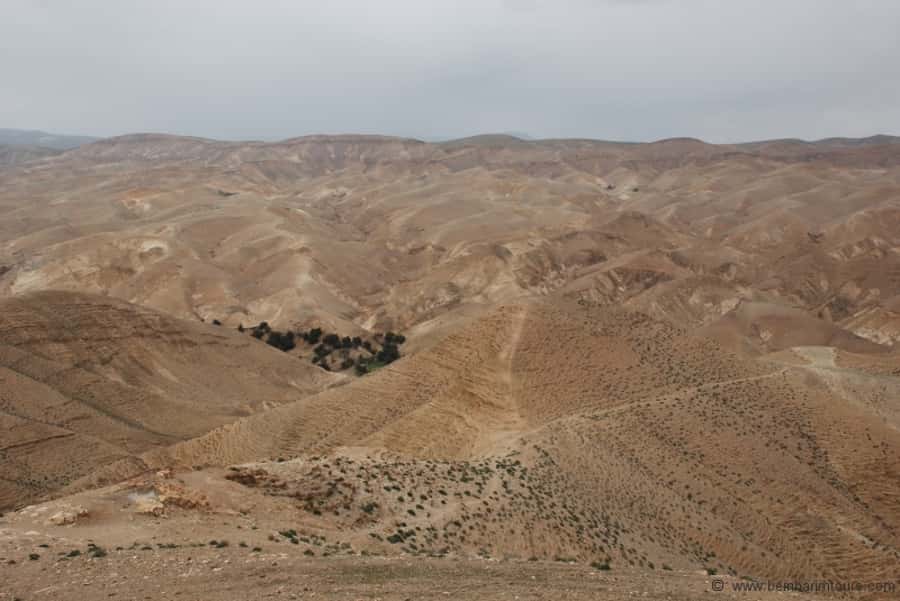 From Tel Aviv: Dead Sea Visit & Desert Safari - Key points to know before booking