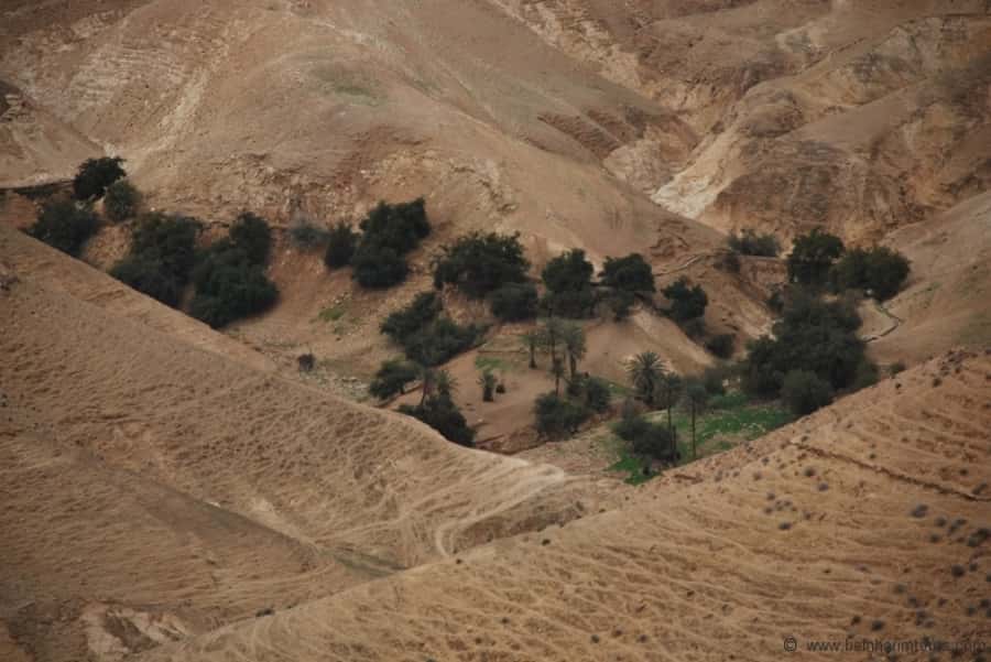 From Tel Aviv: Dead Sea Visit & Desert Safari - Qumran and the caves of the Dead Sea Scrolls