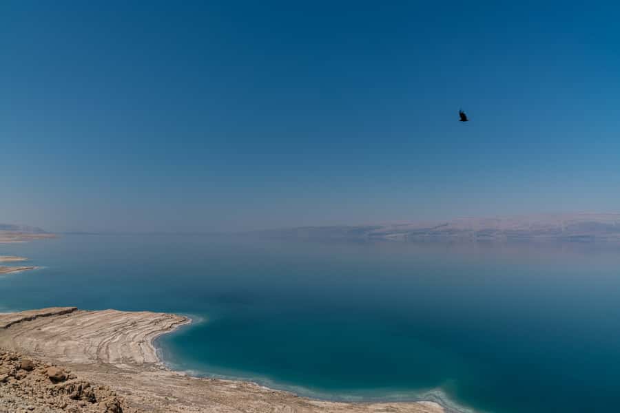 From Tel Aviv: Dead Sea Visit & Desert Safari - The Dead Sea: floating, mud, and practical limits