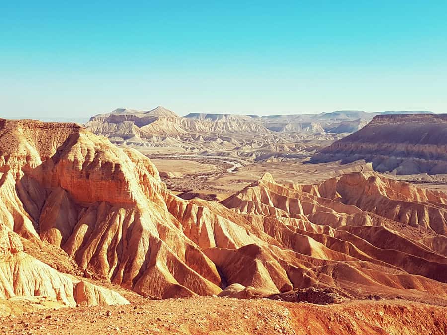 From Tel Aviv: Dead Sea Visit & Desert Safari - Best time, fitness, and packing advice