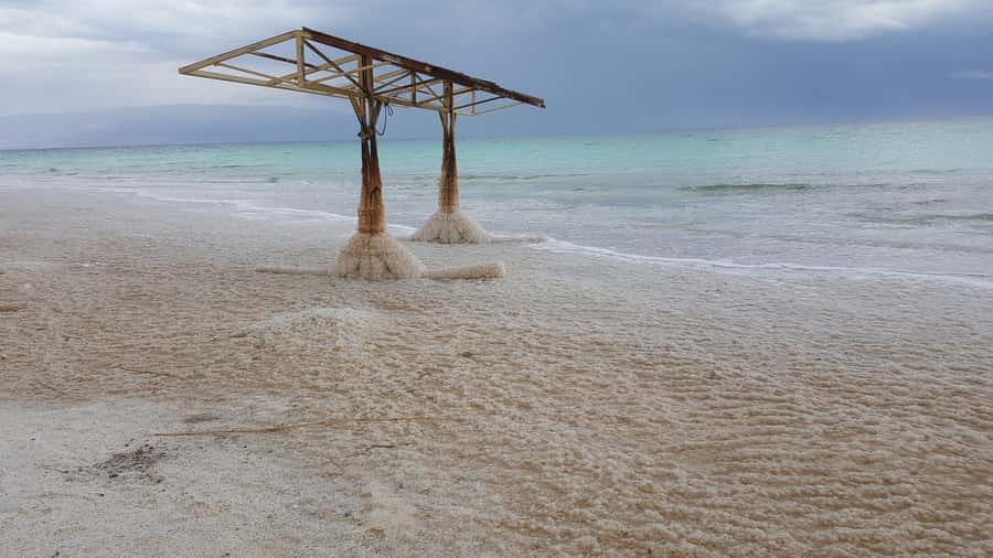 From Tel Aviv: Full-Day Dead Sea Relaxation Tour - Who will enjoy this Dead Sea day?