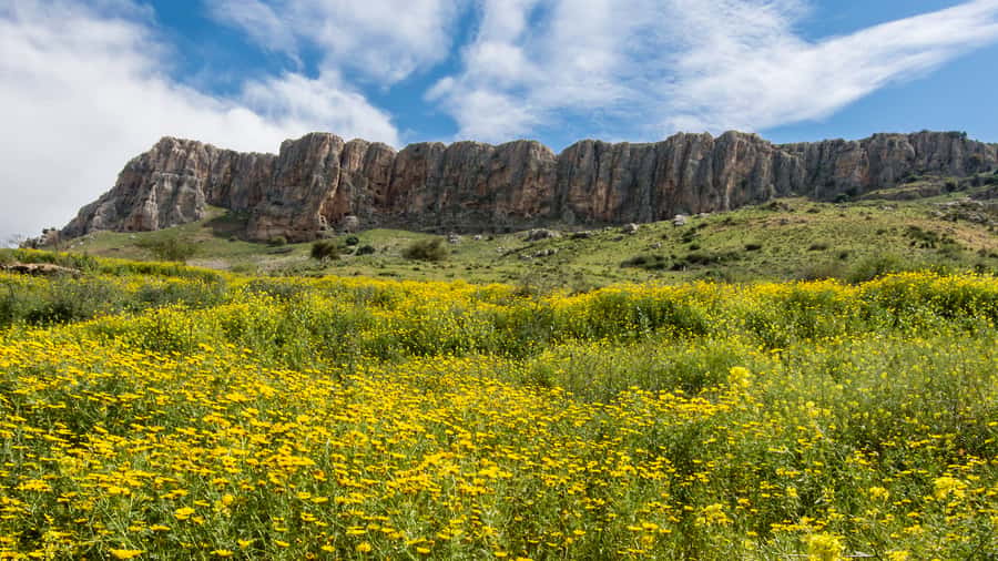 From Tel Aviv: Golan Heights Tour - The Sea of Galilee from its southern edge