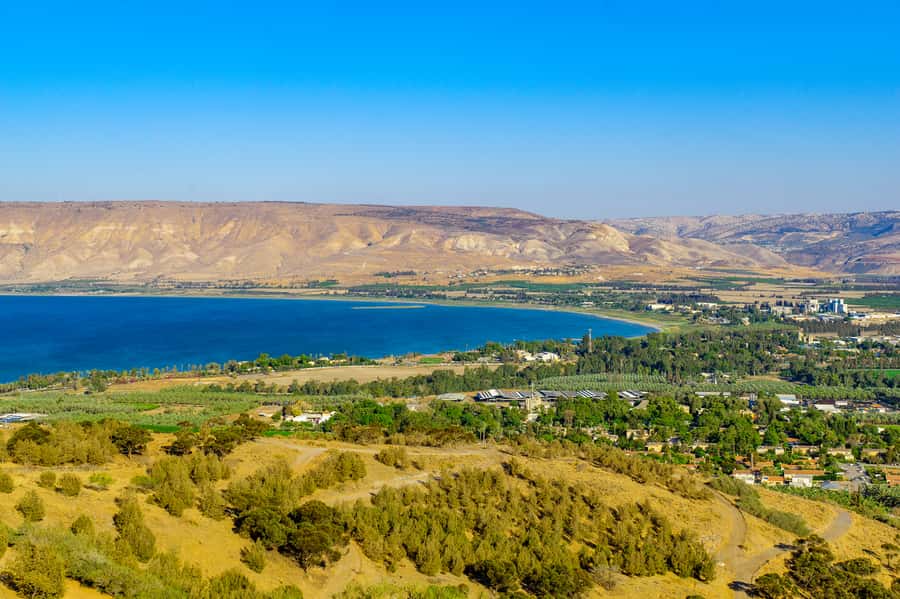 From Tel Aviv: Golan Heights Tour - What the price includes, and where value depends