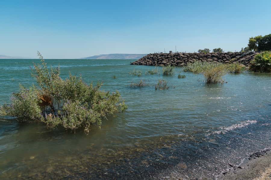 From Tel Aviv: Magdala, Mount of Beatitudes, and Cana Tour - Key points to know before booking