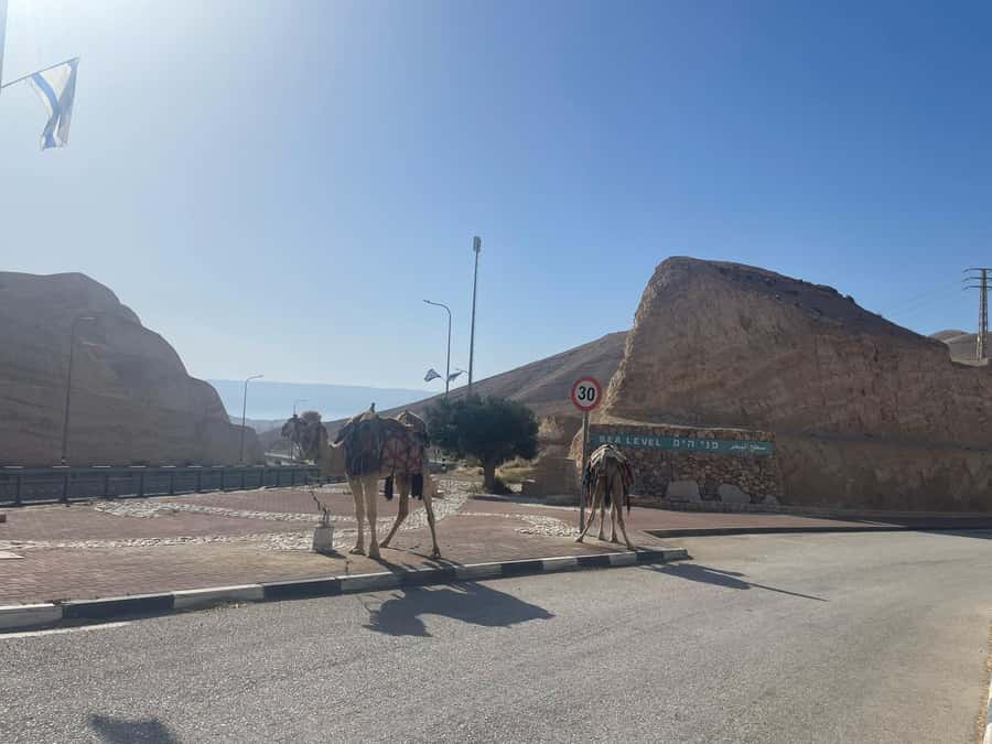From Tel Aviv: Masada &Dead Sea Tour INCLUDING ENTRANCE FEES - Transport, pickup, and group size
