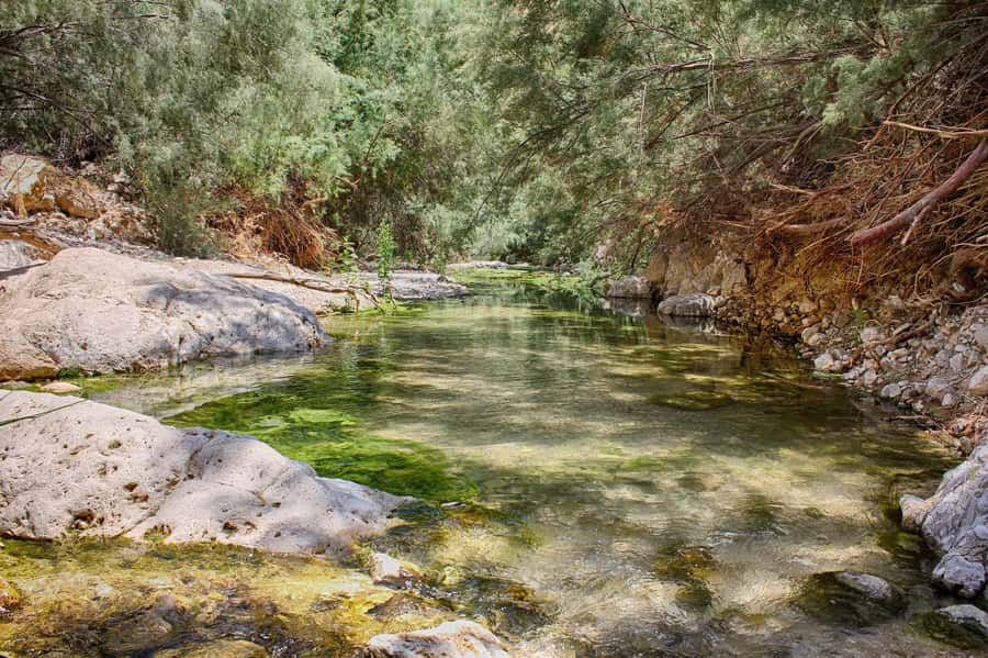 From Tel Aviv: Masada, Ein Gedi & Dead Sea Tour - Why this desert day works so well
