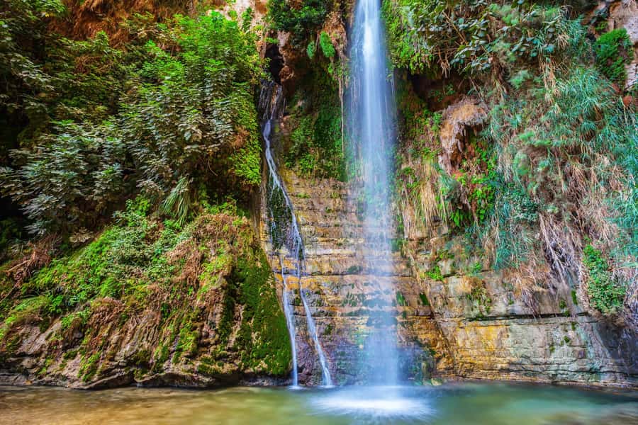 From Tel Aviv: Masada, Ein Gedi & Dead Sea Tour - How to prepare for a better day