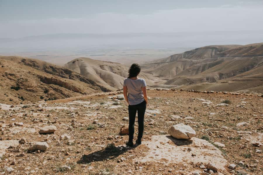 From Tel Aviv: West Bank Day Tour - Why this West Bank day trip is worth considering