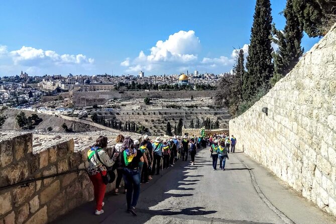 Full Day Jerusalem Tour: In Jesus' Steps - Bethesda Pools and the healing story
