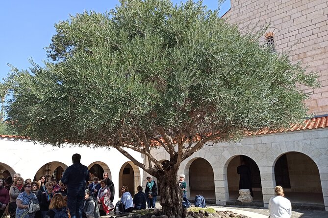Full Day Tour to Nazareth and the Sea of Galilee - Capernaum, the Main Base of Jesus’s Ministry