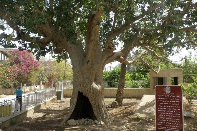 FullDay Bethlehem Jericho Guided Tour From Jerusalem -small group - Olive wood, coffee, and a practical lunch pause
