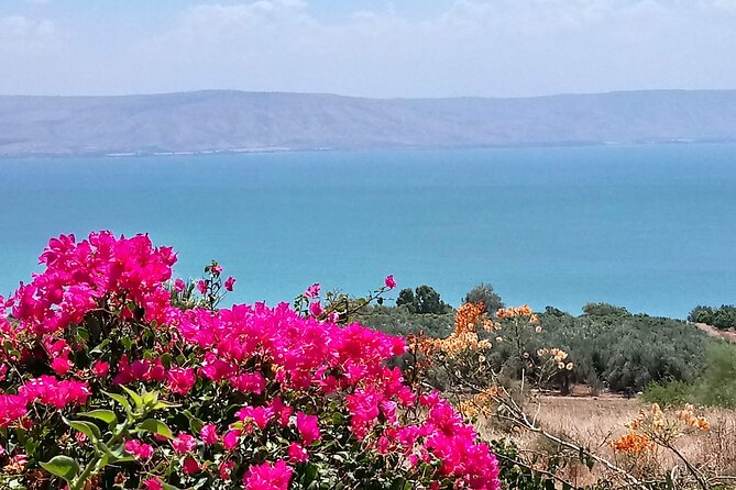 Galilee Day Tour - Key points to know before booking