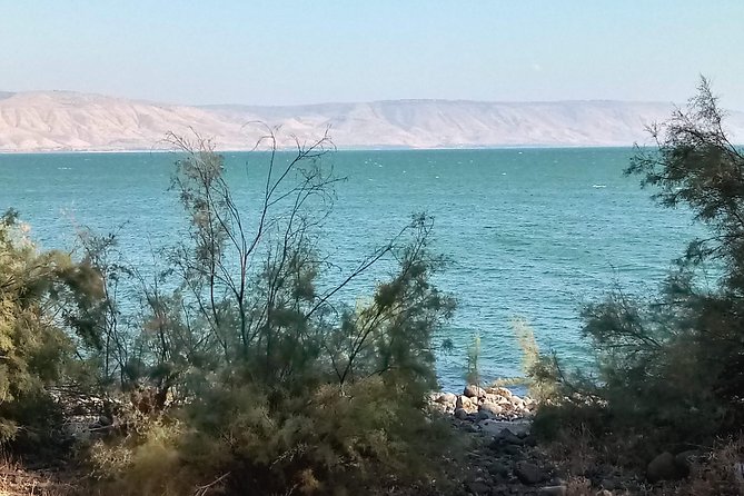 Galilee Day Tour - Tabgha and the Church of Multiplication