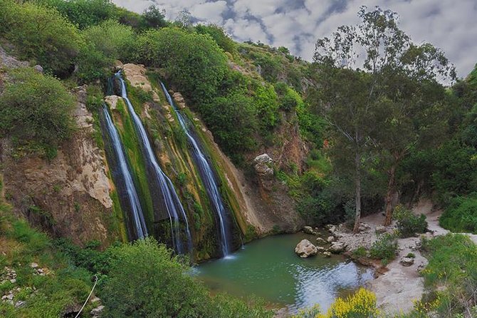 GoKEDEM Golan Heights ATV Action & Wine-Tasting Tour From Tel Aviv - Key points at a glance