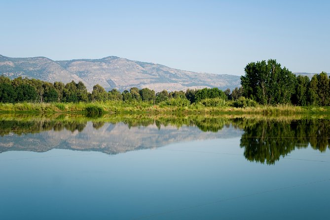 Golan Heights Day Trip from Tel Aviv - The Early Start and Long Ride North
