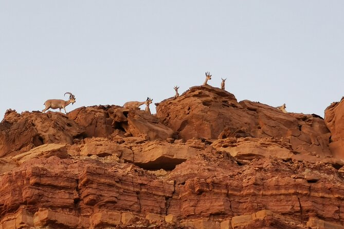 In Depth Introduction of the Ramon Crater - Entering Ramon Crater by all-terrain vehicle