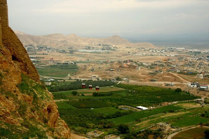 Jericho, the Jordan river & the Dead Sea from Jerusalem - Zacchaeus’ Sycamore Tree