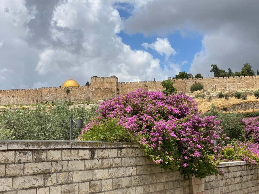 Jerusalem: 3–Hour Old City Tour in French - Hezekiah and Isaiah, where faith meets engineering