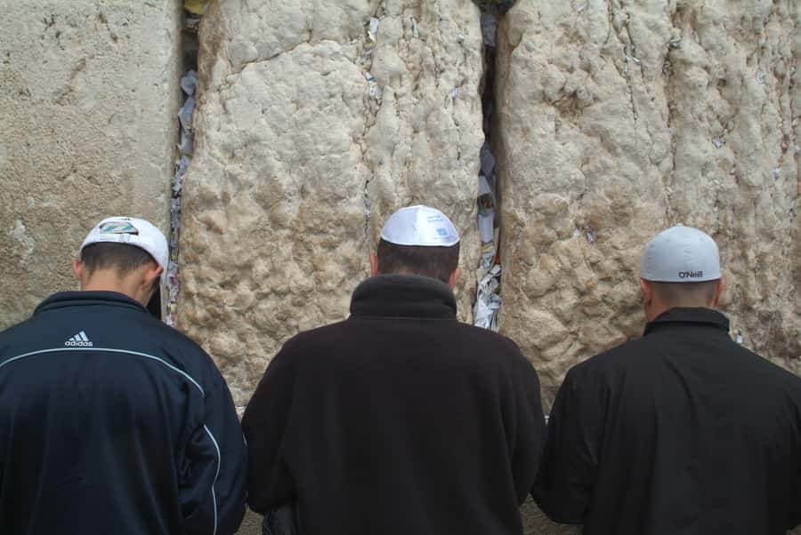Jerusalem Christian Private Tour - Gethsemane, ancient olive trees, and Mary’s tomb