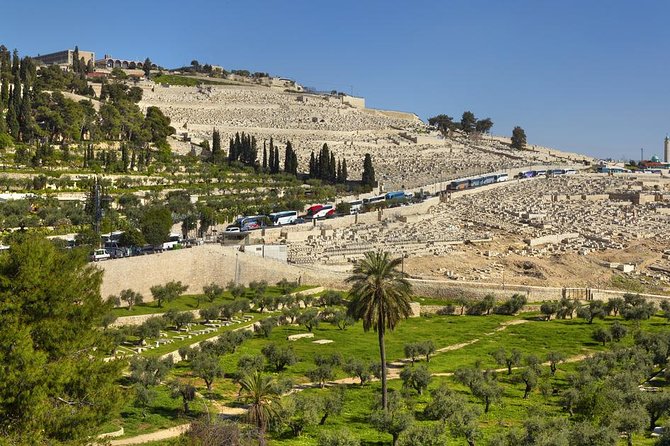 Jerusalem Half-Day Tour from Tel Aviv: Holy Sepulchre and Western Wall - The Jewish Quarter, Cardo, and Western Wall