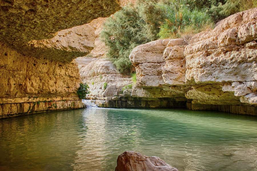 Jerusalem: Masada, Ein Gedi & Dead Sea Tour - Ein Gedi: a green pause in the desert