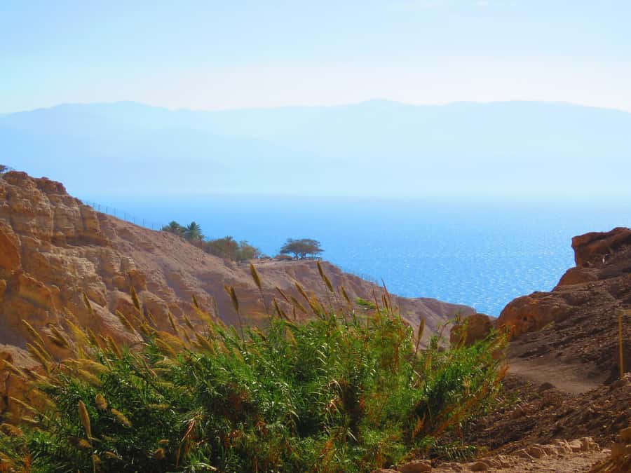 Jerusalem: Masada, Ein Gedi & Dead Sea Tour - What the $89 price really covers