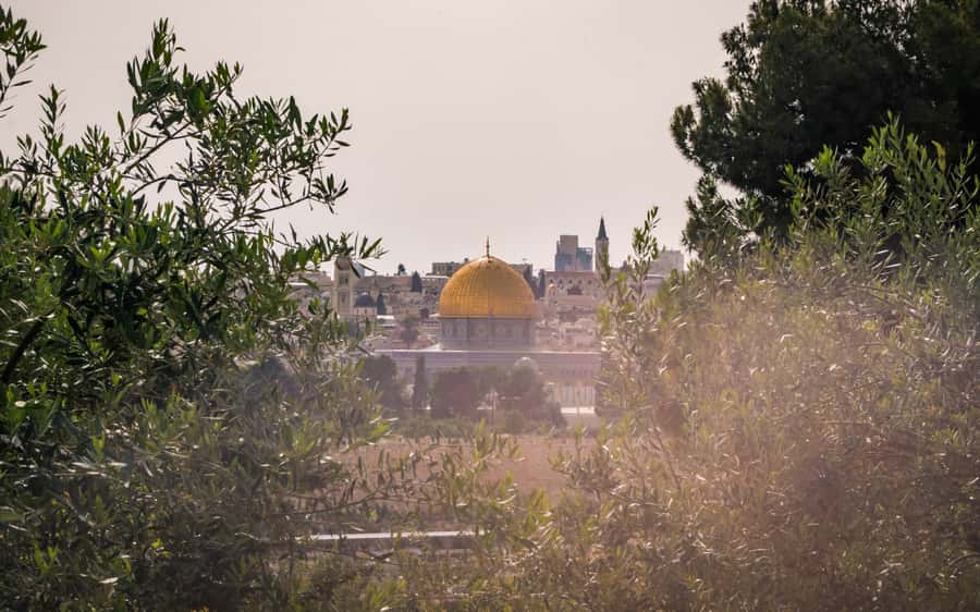 Jerusalem: Mount of Olives Guided Tour - Is $60 a fair price?